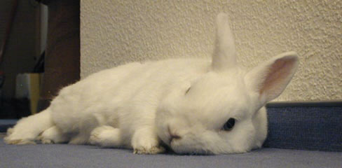 Noch eins gibts wenn du hier klickst